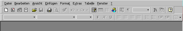 Word for Windows mit anwenderspezifischen Icons